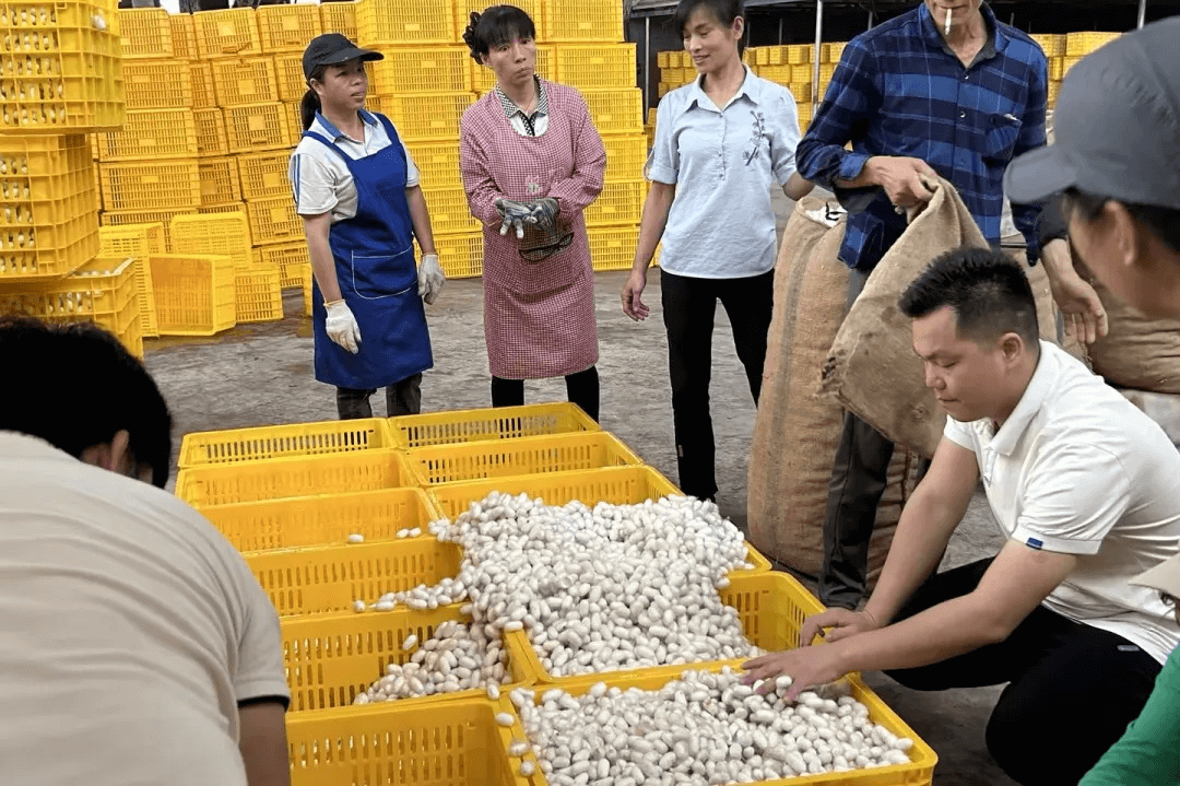 &#24320;&#20113;&#30331;&#38470;&#20837;&#21475;&#45;&#24320;&#20113;&#111;&#110;&#108;&#105;&#110;&#101;&#40;&#20013;&#22269;&#41;